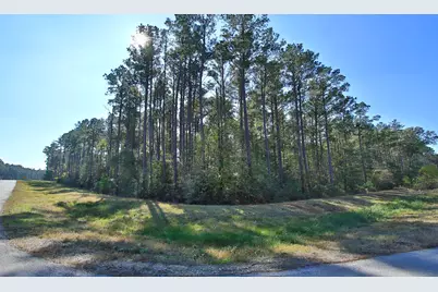 12-22-58 Grey Feather Road, Huntsville, TX 77340 - Photo 5