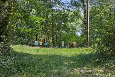 5092 Old Wagon Lane, Richards, TX 77873 - Photo 17