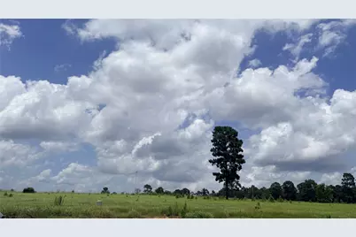 Lot 247 Meadow View Drive, Hillister, TX 75979 - Photo 11