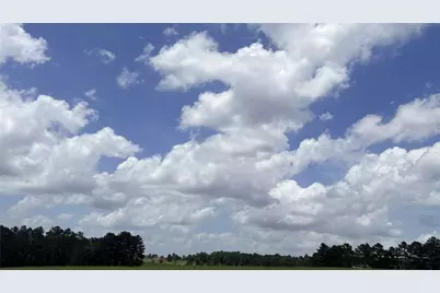 Lot 247 Meadow View Drive, Hillister, TX 75979 - Photo 3
