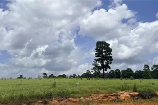 Lot 247 Meadow View Dr, Hillister, TX 75979 - Photo 1