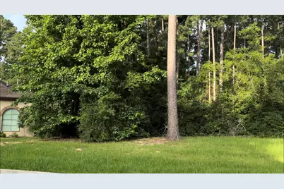 129 Pine Branch Drive, Montgomery, TX 77356 - Photo 7