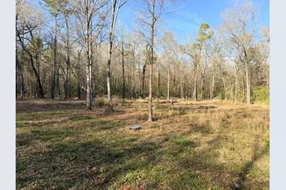 306 Indian Oaks, Livingston, TX 77351 - Photo 3