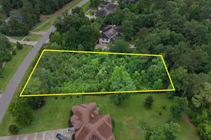 27403 Whispering Maple Way, Spring, TX 77386 - Photo 3