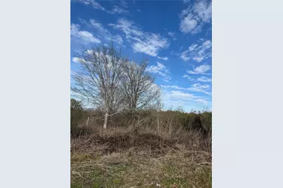 00 Chapman Road, Beasley, TX 77417 - Photo 9