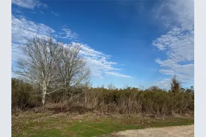00 Chapman Road, Beasley, TX 77417 - Photo 3