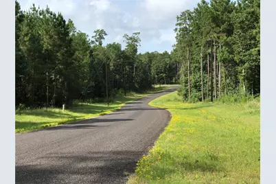 14-37-23 Sandpiper Drive, New Waverly, TX 77358 - Photo 7