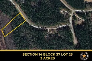14-37-23 Sandpiper Dr, New Waverly, TX 77358 - Photo 1