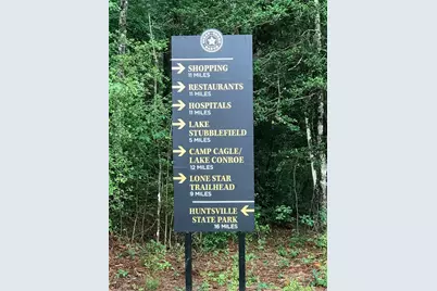 14-37-23 Sandpiper Drive, New Waverly, TX 77358 - Photo 9