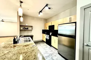 3660 Richmond St Ave, Houston, TX 77046 - Photo 9