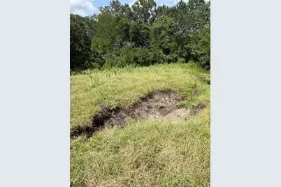 10265 Fm 1774 Tract B1, Plantersville, TX 77363 - Photo 13