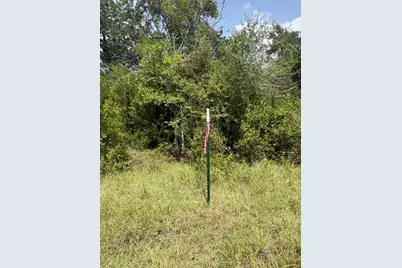 10265 Fm 1774 Tract B1, Plantersville, TX 77363 - Photo 15