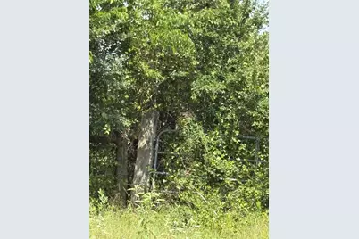 10265 Fm 1774 Tract B1, Plantersville, TX 77363 - Photo 11