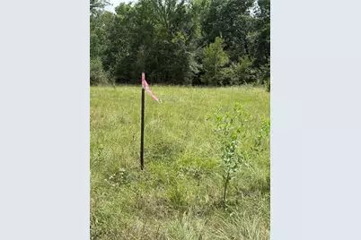 10265 Fm 1774 Tract B1, Plantersville, TX 77363 - Photo 9