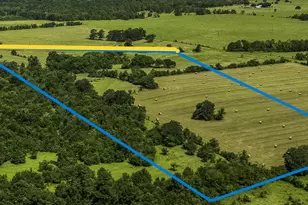 10265 Fm 1774 Tract B1, Plantersville, TX 77363 - Photo 1