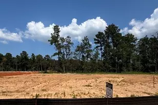 9362 Cordial Circle, Montgomery, TX 77316 - Photo 9