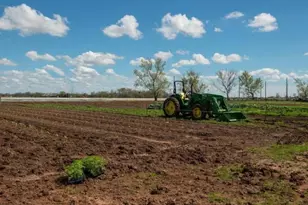 731 Hummingbird Haven Drive, Richmond, TX 77406 - Photo 25