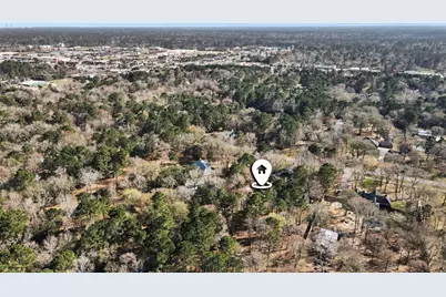 6910 Windcrest Estates Court, Magnolia, TX 77354 - Photo 41