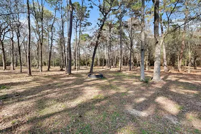 6910 Windcrest Estates Court, Magnolia, TX 77354 - Photo 39
