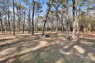 6910 Windcrest Estates Ct, Magnolia, TX 77354 - Photo 39