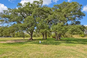 2491 E Fannin St, Goliad, TX 77963 - Photo 13
