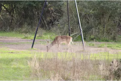 15184 Fm 2620, Bedias, TX 77831 - Photo 49