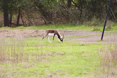 15184 Fm 2620, Bedias, TX 77831 - Photo 41