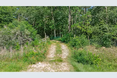 16852 Old Houston Road, Conroe, TX 77302 - Photo 25