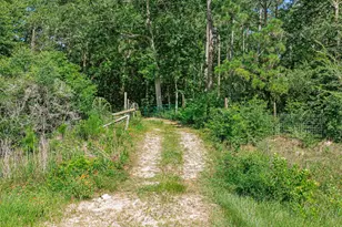 16852 Old Houston Rd, Conroe, TX 77302 - Photo 25