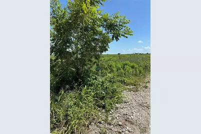 Tbd Beal Road, Eagle Lake, TX 77434 - Photo 5