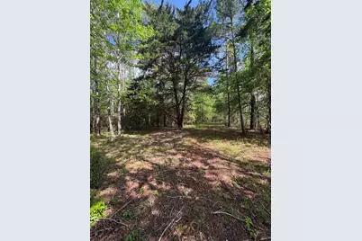 1648 Timber Road 23 N, Chester, TX 75936 - Photo 17