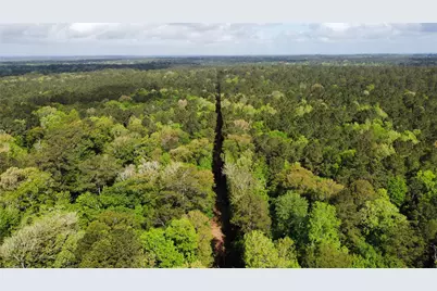 1648 Timber Road 23 N, Chester, TX 75936 - Photo 9
