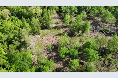 1648 Timber Road 23 N, Chester, TX 75936 - Photo 7