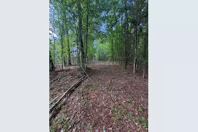 1648 Timber Road 23 N, Chester, TX 75936 - Photo 19