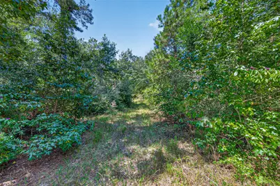 15881 Wood Grove Way, Willis, TX 77378 - Photo 13