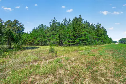 15881 Wood Grove Way, Willis, TX 77378 - Photo 11