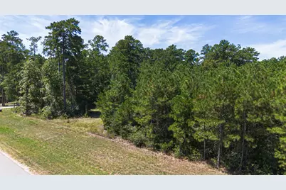 15881 Wood Grove Way, Willis, TX 77378 - Photo 9