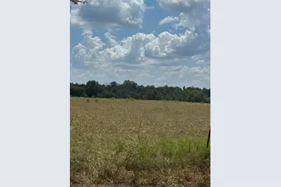 211 County Road 430, Mexia, TX 76667 - Photo 5