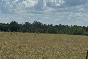 211 County Road 430, Mexia, TX 76667 - Photo 5