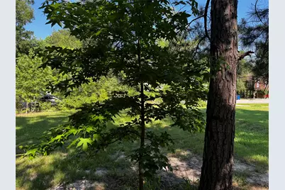 Tbd Whisperwood Lots 64,65,70, Onalaska, TX 77360 - Photo 11