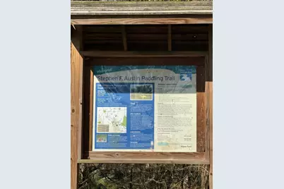 151 County Road 655, Brazoria, TX 77422 - Photo 47