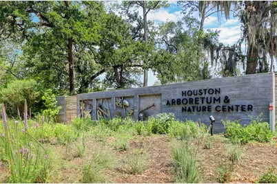 21 Briar Hollow Lane #501, Houston, TX 77027 - Photo 29
