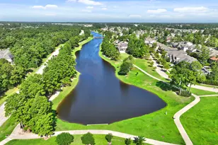 10 Sagamore Ridge Pl, Spring, TX 77389 - Photo 47
