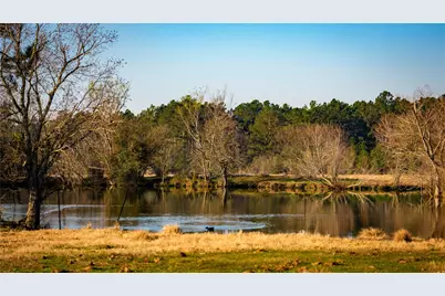 10999 Fm 230, Lovelady, TX 75851 - Photo 7