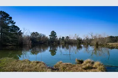 10999 Fm 230, Lovelady, TX 75851 - Photo 13
