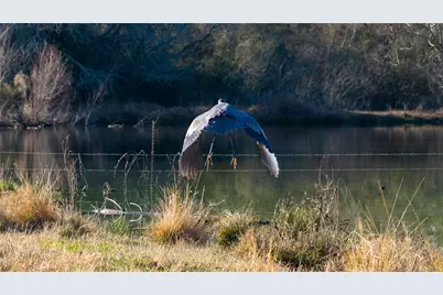 10999 Fm 230, Lovelady, TX 75851 - Photo 19