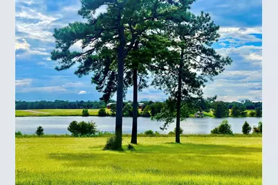 Lot 25 E Lakeland Court, Hillister, TX 77624 - Photo 9