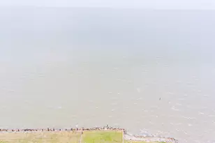 213 Heartfield Ln, Smith Point, TX 77514 - Photo 31