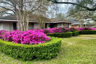 4807 Creekbend Dr, Houston, TX 77035 - Photo 3