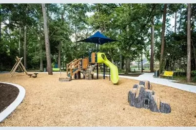 258 Trillium Park Loop, Conroe, TX 77304 - Photo 15